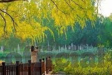 八哥电影伦理-八哥电影，伦理的镜像与反思