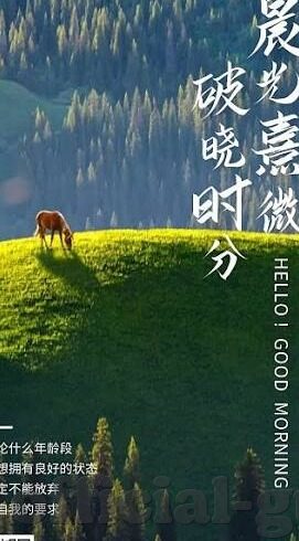 麻豆黄色av导航-窥视镜像的迷雾，对互联网内容健康的思考