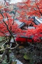 麻豆免费在线视频-探索多元化娱乐视野，免费在线视频的魅力与边界